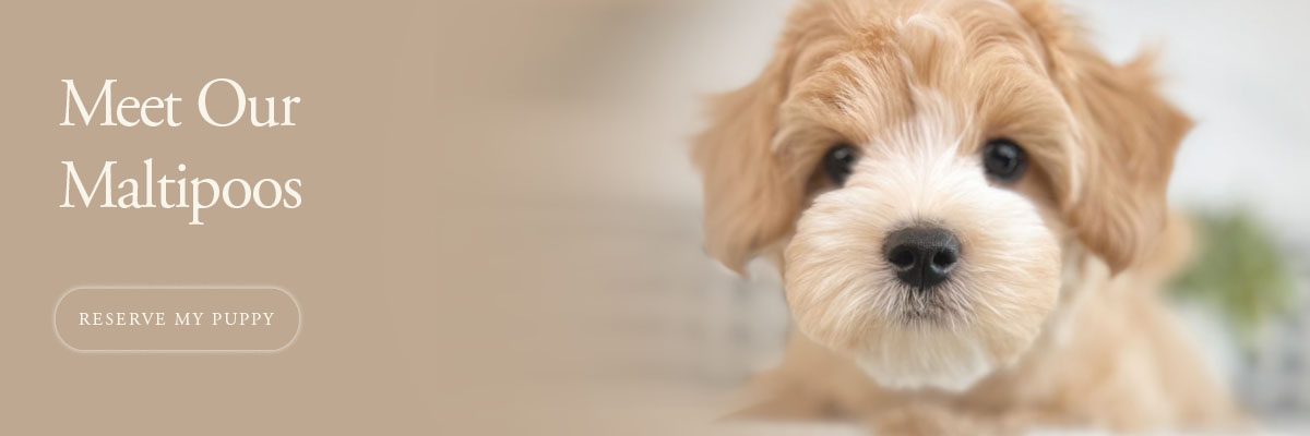 Banner5_768x400